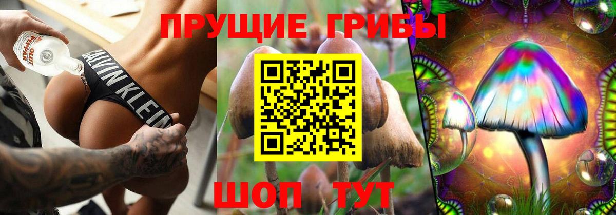 Сочи  Галлюциногенные грибы прущие грибы  Псилоцибиновые грибы мицелий  Вход с VPN 